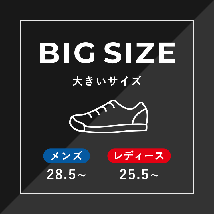 大きいサイズの靴をお求めの方へ！<br>メンズ：28.5～　<br class="sp-display">レディース：25.5～<br>豊富なサイズ取り揃えております。